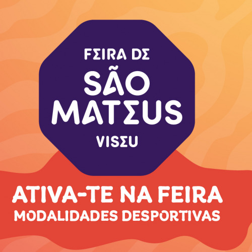 Competição de Remo Estático Feira São Mateus