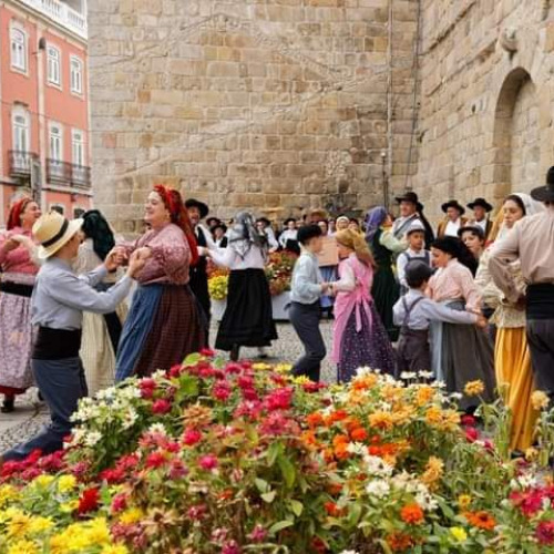 Associação Folclórica Cultural e Recreativa Verde Gaio de Lordosa