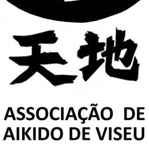 Demonstração da Associação Aikido de Viseu