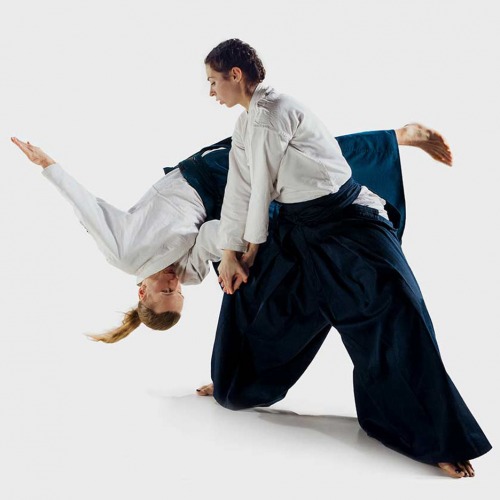 Demonstração de Aikido